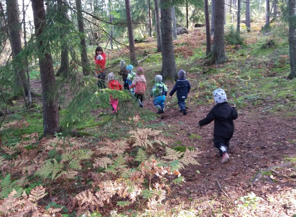 Barnen på skogsutfärd.